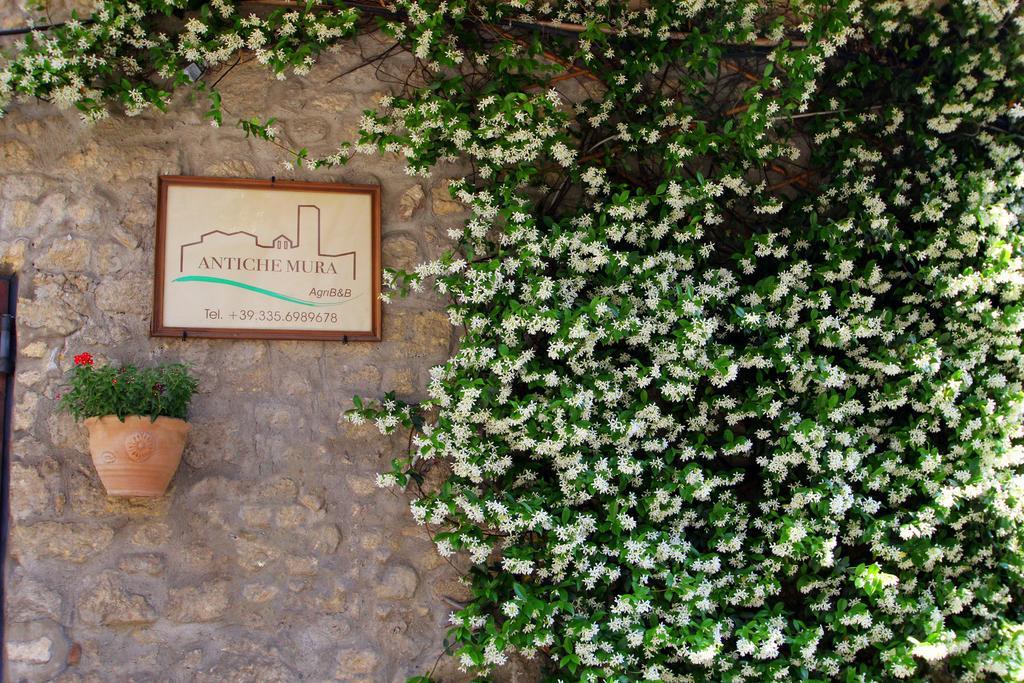 B&B Antiche Mura Tarquinia Exterior foto